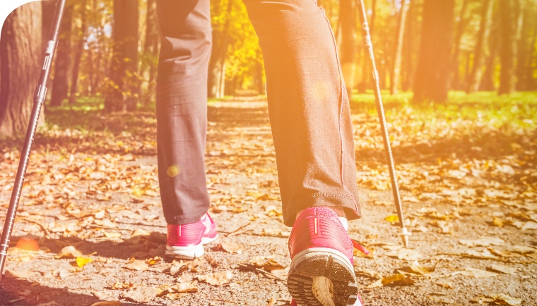 Nordic Walking Heidelberg